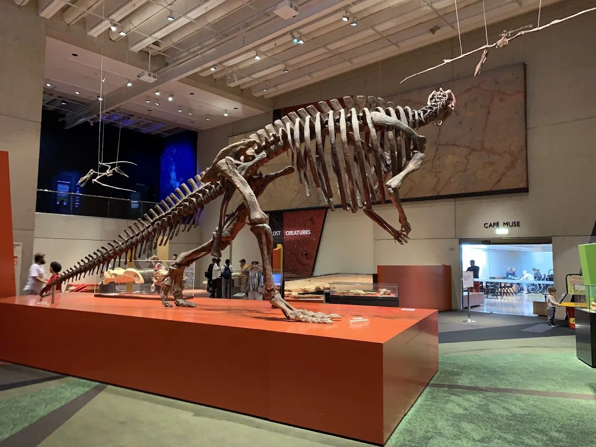 Queensland Museum & Sciencentre